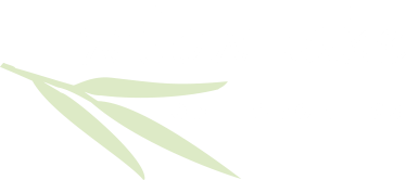 Willow Lake Orthodontics